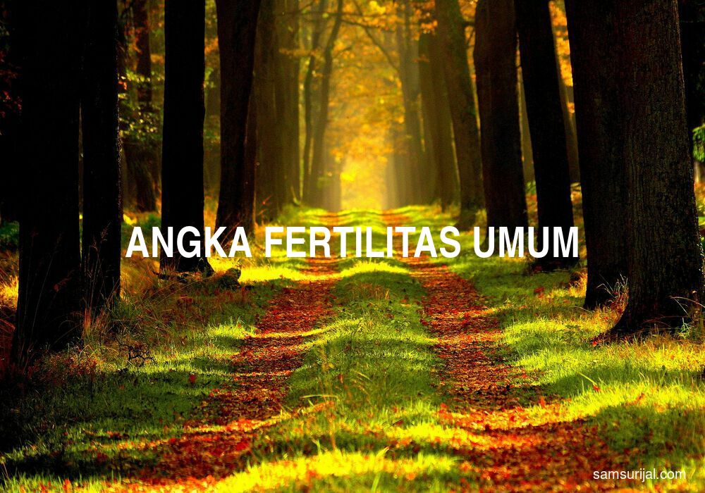 Arti Angka Fertilitas Umum