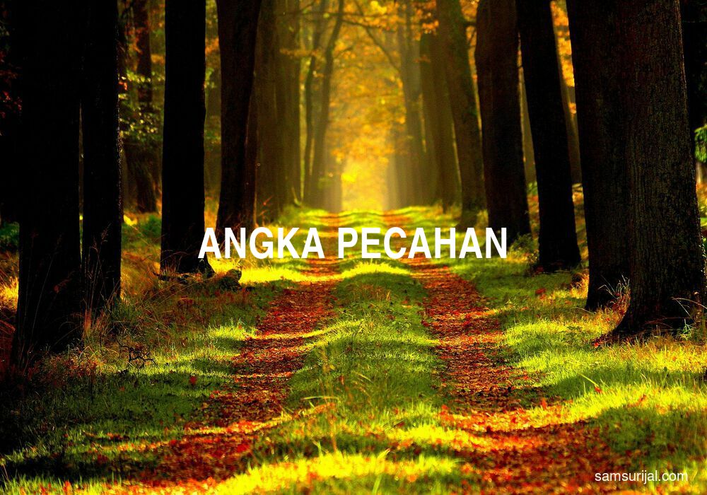 Arti Angka Pecahan