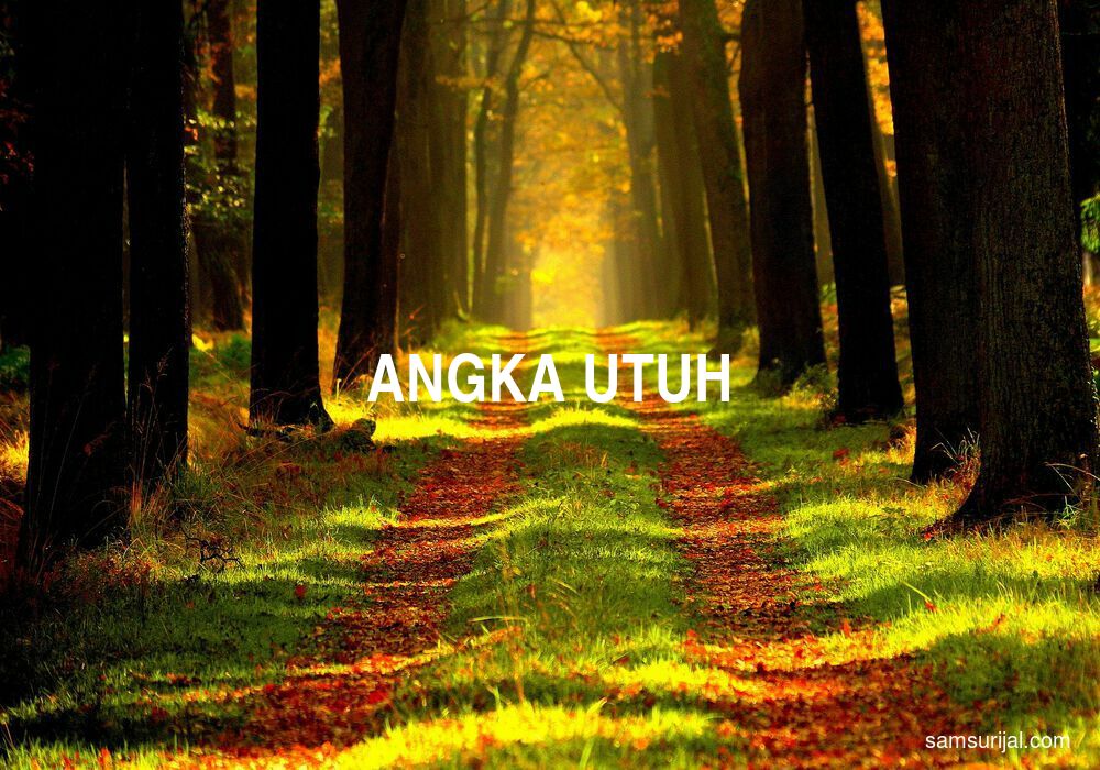 Arti Angka Utuh