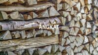 Angkat