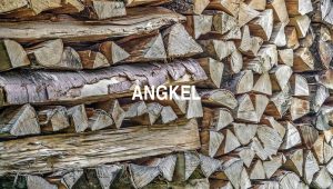 Arti Angkel