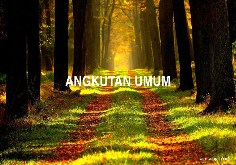 Arti Angkutan Umum