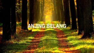 Arti Anjing Belang