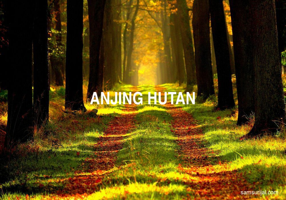 Arti Anjing Hutan