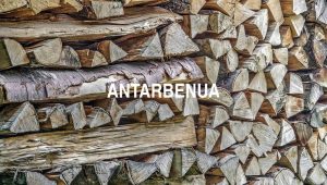 Antarbenua