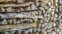 Antarnegara