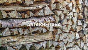 Arti Antarnegara