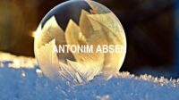 Antonim Absen