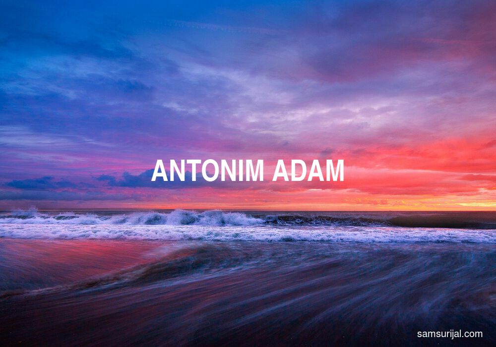 Antonim Adam