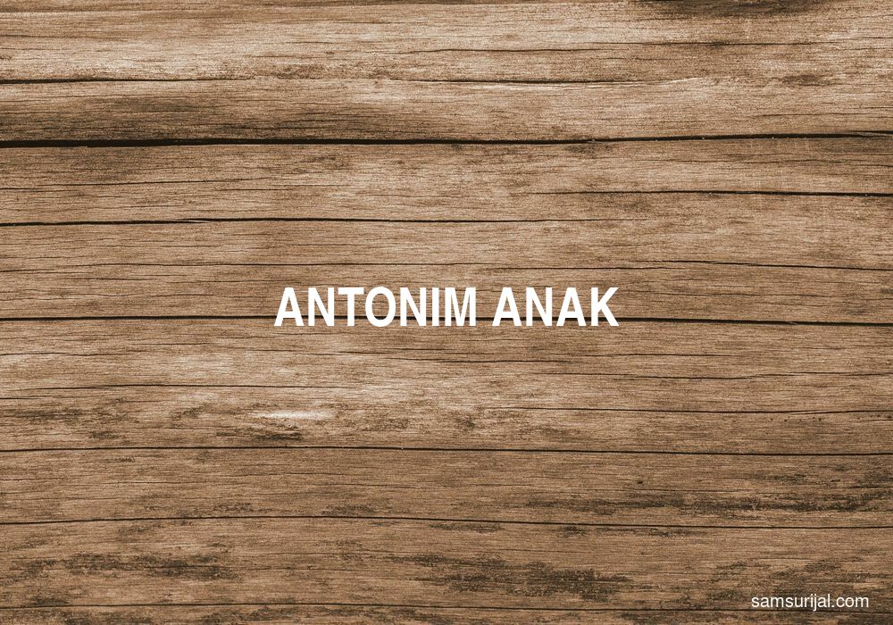 Antonim Anak