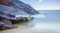 Antonim Anggota