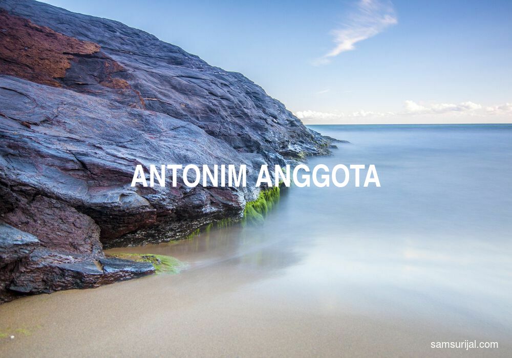 Antonim Anggota