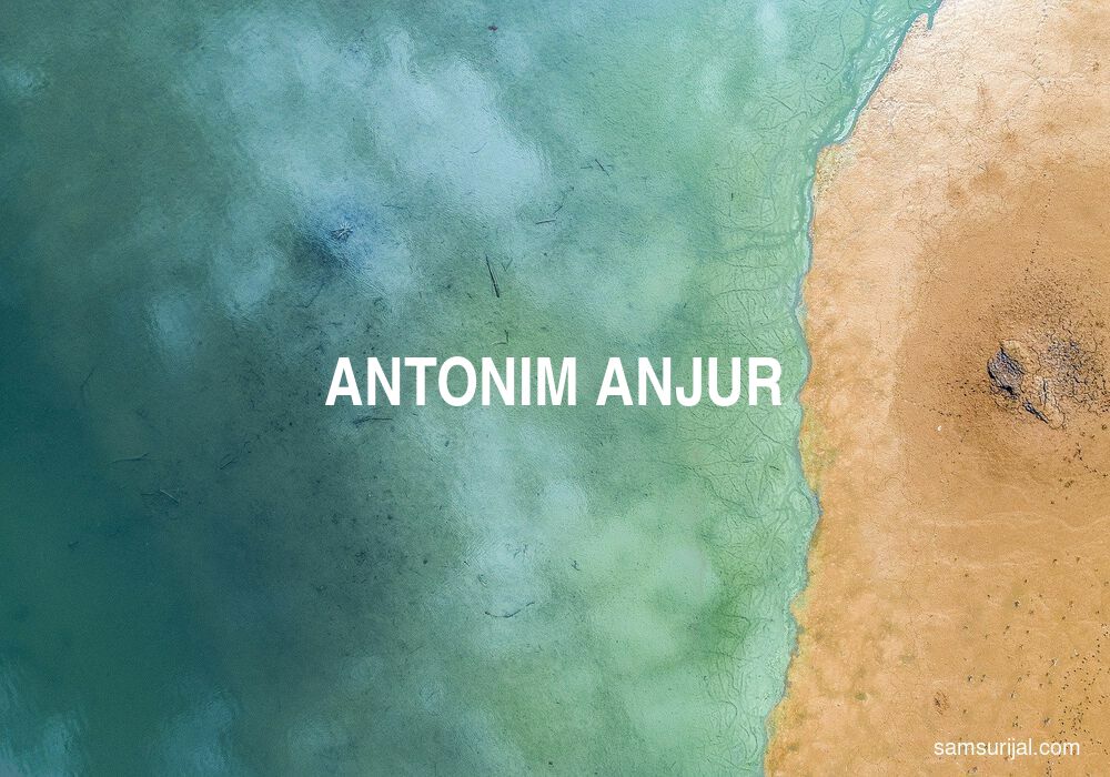 Antonim Anjur