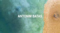 Antonim Batas