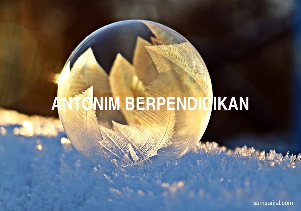 Antonim Berpendidikan