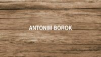 Antonim Borok