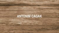 Antonim Cagak