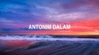 Antonim Dalam