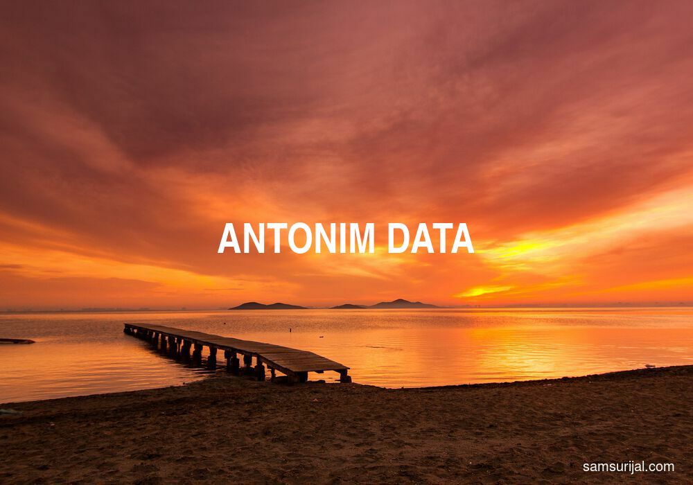 Antonim Data