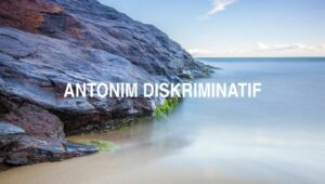 Antonim Diskriminatif
