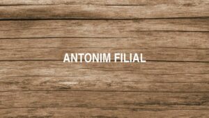 Antonim Filial