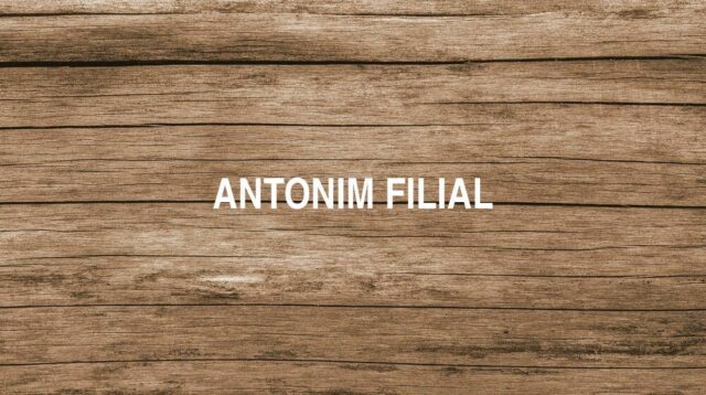 Antonim Filial