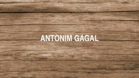 Antonim Gagal