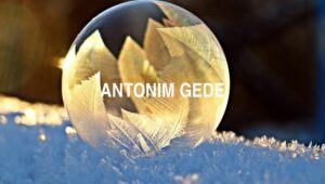 Antonim Gede