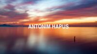 Antonim Hapus