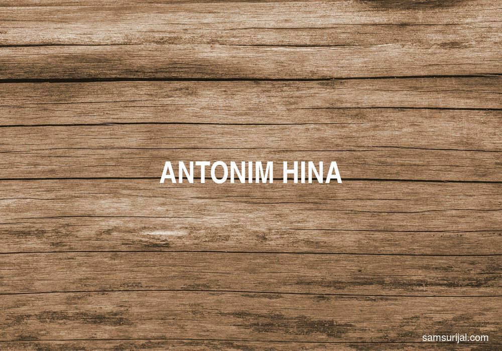 Antonim Hina