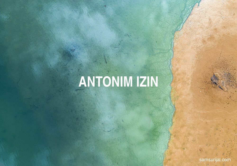 Antonim Izin