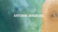 Antonim Jangkung