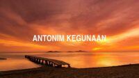 Antonim Kegunaan