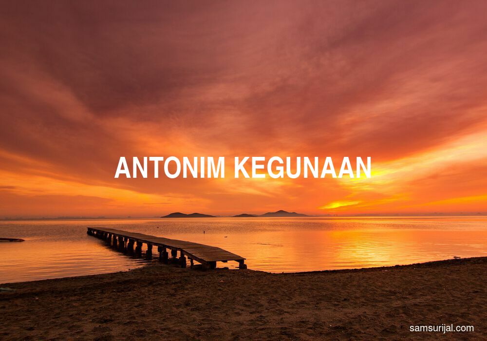 Antonim Kegunaan