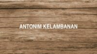 Antonim Kelambanan