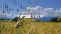 Antonim Khilaf