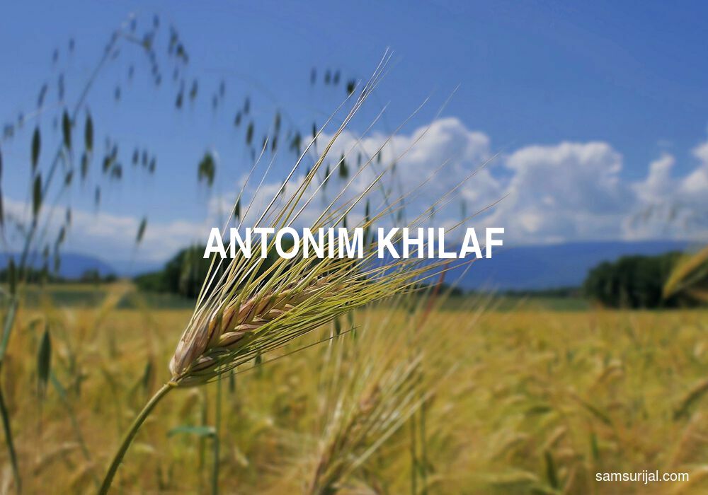 Antonim Khilaf