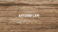 Antonim Lari