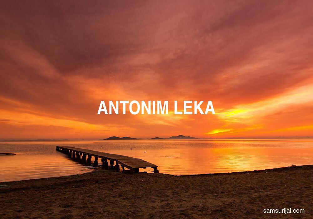 Antonim Leka