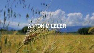 Antonim Leler
