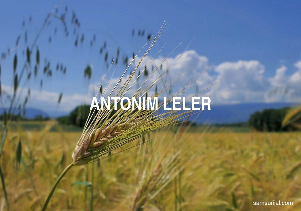 Antonim Leler