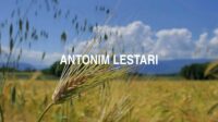 Antonim Lestari