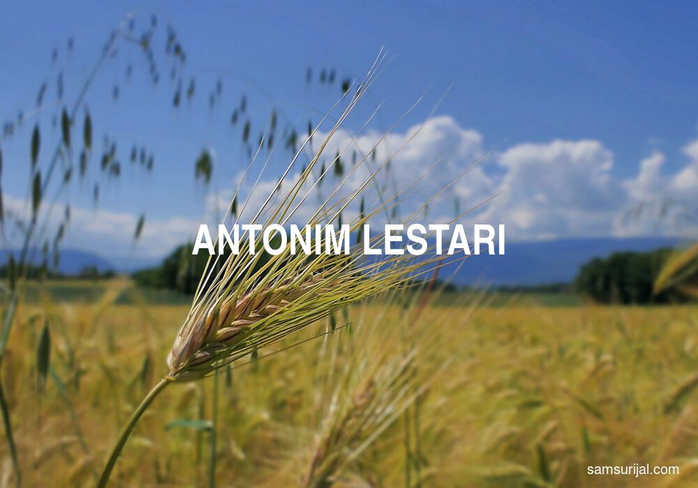 Antonim Lestari