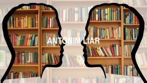 Antonim Liar
