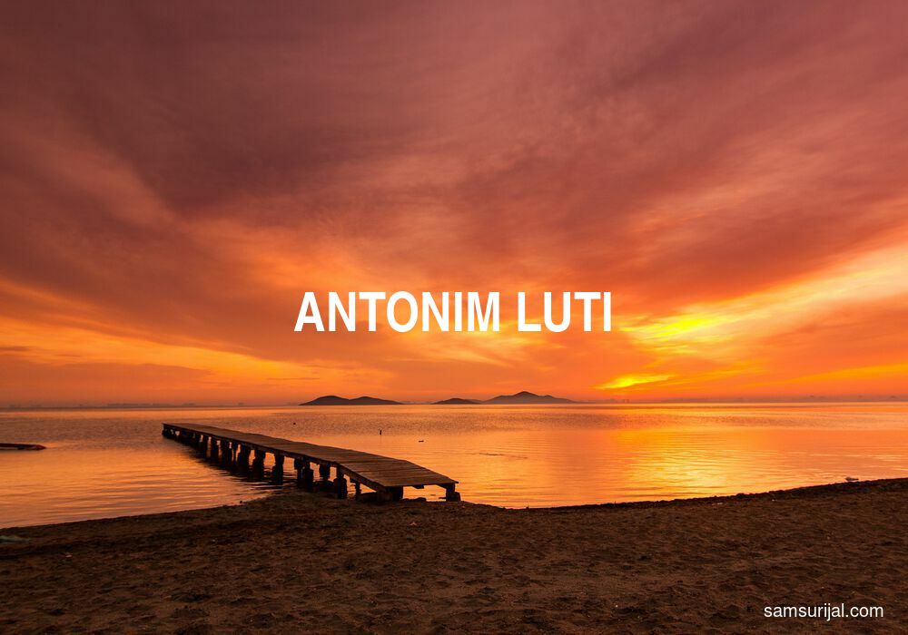 Antonim Luti