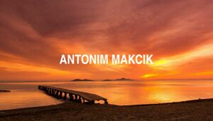 Antonim Makcik