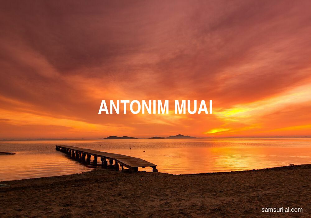 Antonim Muai