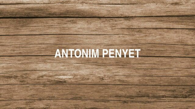 Antonim Penyet