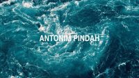 Antonim Pindah