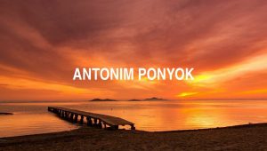 Antonim Ponyok